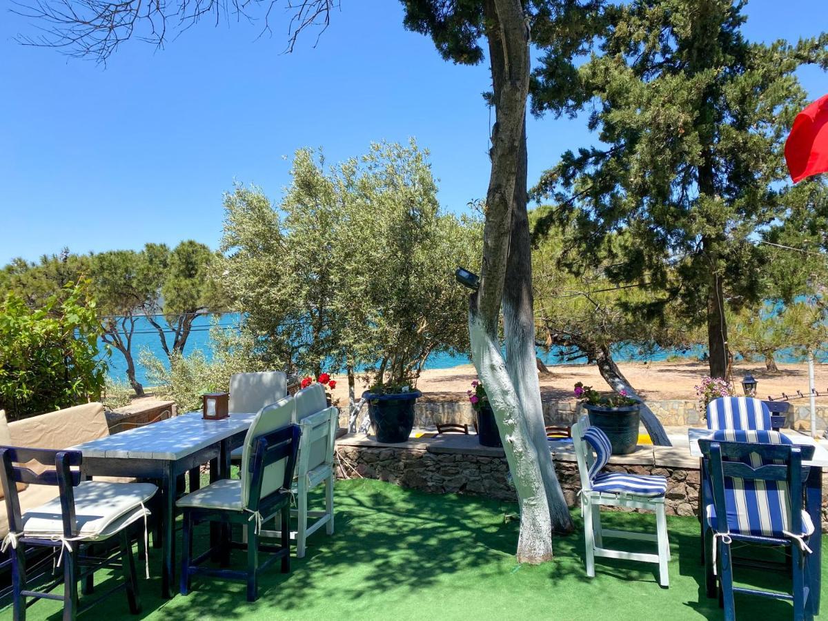 Lacivert Hotel Ayvalik Bagian luar foto