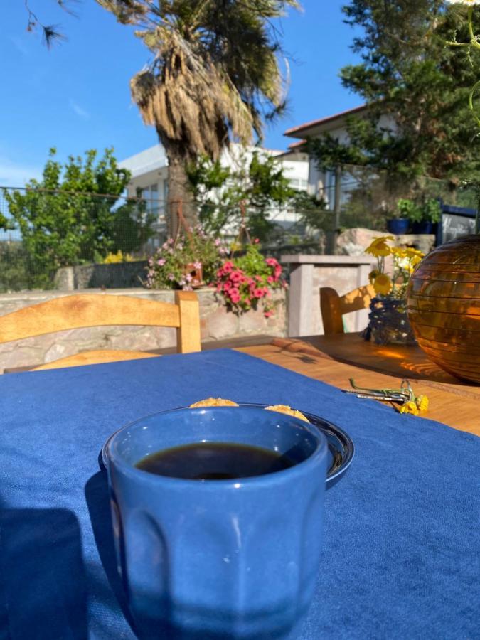 Lacivert Hotel Ayvalik Bagian luar foto